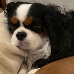 Meet your Posher, G.a.